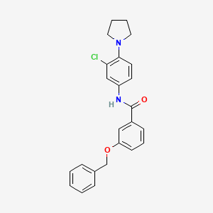 3-(benzyloxy)-N-[3-chloro-4-(1-pyrrolidinyl)phenyl]benzamide