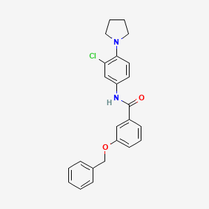 molecular formula C24H23ClN2O2 B5167936 3-(benzyloxy)-N-[3-chloro-4-(1-pyrrolidinyl)phenyl]benzamide 