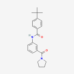 molecular formula C22H26N2O2 B5167995 4-tert-butyl-N-[3-(1-pyrrolidinylcarbonyl)phenyl]benzamide 