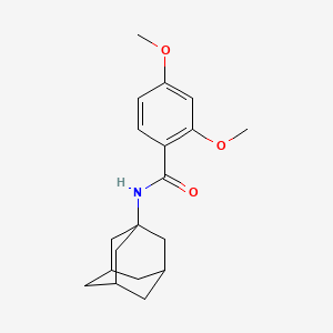 molecular formula C19H25NO3 B5170362 N-1-adamantyl-2,4-dimethoxybenzamide 