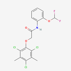 molecular formula C17H14Cl3F2NO3 B5170436 N-[2-(difluoromethoxy)phenyl]-2-(2,4,6-trichloro-3,5-dimethylphenoxy)acetamide 