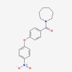 molecular formula C19H20N2O4 B5171009 1-[4-(4-nitrophenoxy)benzoyl]azepane 