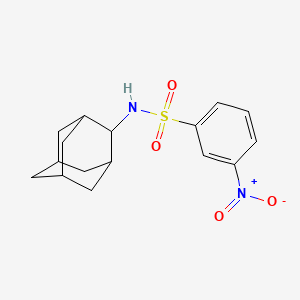 N-2-adamantyl-3-nitrobenzenesulfonamide