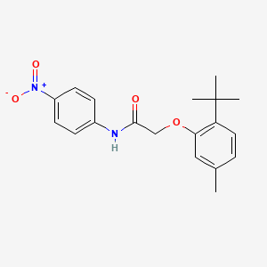 2-(2-tert-butyl-5-methylphenoxy)-N-(4-nitrophenyl)acetamide