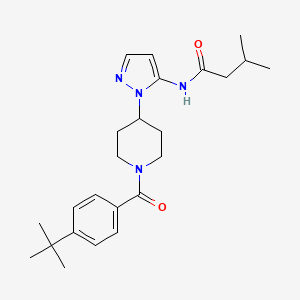 molecular formula C24H34N4O2 B5179522 N-{1-[1-(4-tert-butylbenzoyl)-4-piperidinyl]-1H-pyrazol-5-yl}-3-methylbutanamide 