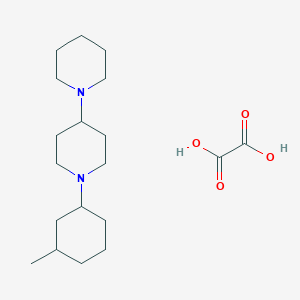 molecular formula C19H34N2O4 B5179530 1'-(3-methylcyclohexyl)-1,4'-bipiperidine oxalate 