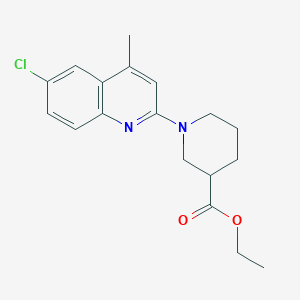 ethyl 1-(6-chloro-4-methyl-2-quinolinyl)-3-piperidinecarboxylate