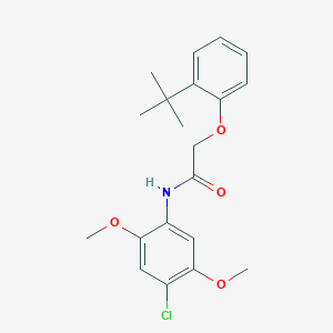 2-(2-tert-butylphenoxy)-N-(4-chloro-2,5-dimethoxyphenyl)acetamide