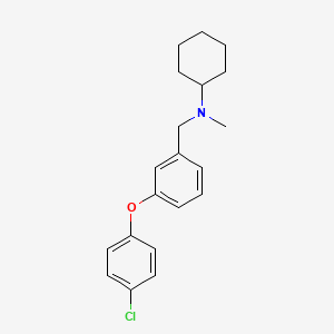 molecular formula C20H24ClNO B5188305 N-[3-(4-chlorophenoxy)benzyl]-N-methylcyclohexanamine 