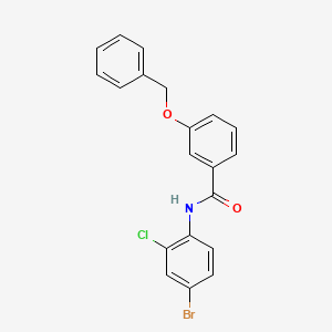 molecular formula C20H15BrClNO2 B5192237 3-(benzyloxy)-N-(4-bromo-2-chlorophenyl)benzamide 