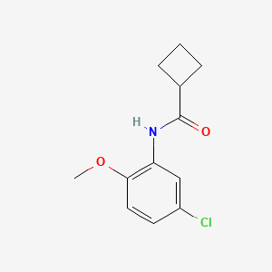 molecular formula C12H14ClNO2 B5194139 N-(5-chloro-2-methoxyphenyl)cyclobutanecarboxamide 