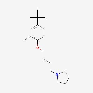 molecular formula C19H31NO B5194975 1-[4-(4-tert-butyl-2-methylphenoxy)butyl]pyrrolidine 