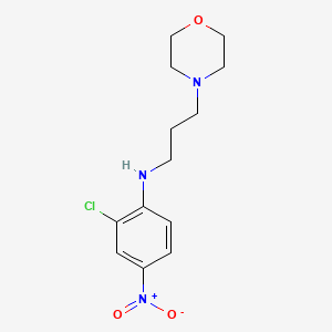 molecular formula C13H18ClN3O3 B5196035 (2-chloro-4-nitrophenyl)[3-(4-morpholinyl)propyl]amine 