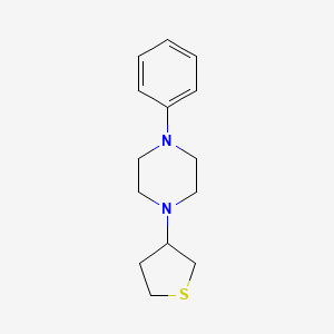 molecular formula C14H20N2S B5197183 1-phenyl-4-(tetrahydro-3-thienyl)piperazine 