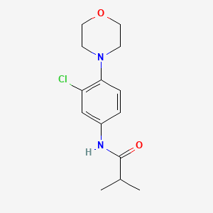 molecular formula C14H19ClN2O2 B5201030 N-[3-chloro-4-(4-morpholinyl)phenyl]-2-methylpropanamide 