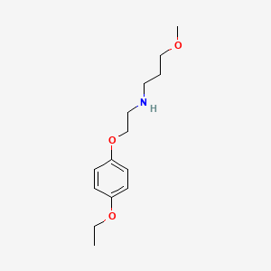 molecular formula C14H23NO3 B5207638 N-[2-(4-ethoxyphenoxy)ethyl]-3-methoxy-1-propanamine 