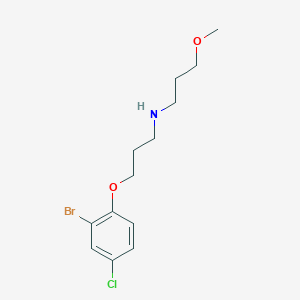 molecular formula C13H19BrClNO2 B5209873 3-(2-bromo-4-chlorophenoxy)-N-(3-methoxypropyl)-1-propanamine 