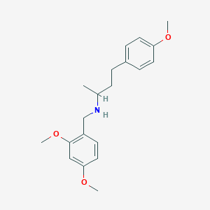 molecular formula C20H27NO3 B5213168 (2,4-dimethoxybenzyl)[3-(4-methoxyphenyl)-1-methylpropyl]amine 