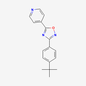 4-[3-(4-tert-butylphenyl)-1,2,4-oxadiazol-5-yl]pyridine
