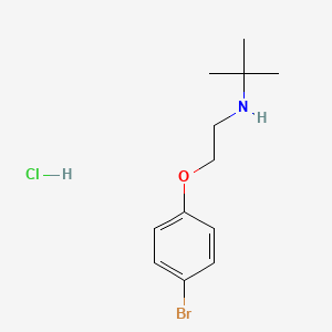 molecular formula C12H19BrClNO B5216376 N-[2-(4-bromophenoxy)ethyl]-2-methyl-2-propanamine hydrochloride 