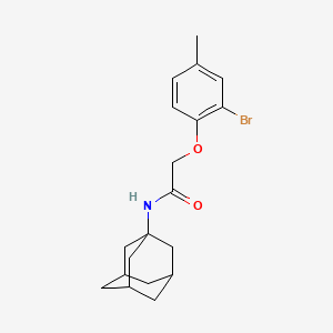 N-1-adamantyl-2-(2-bromo-4-methylphenoxy)acetamide