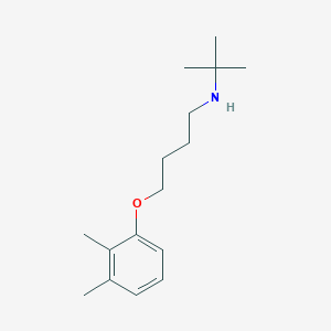 molecular formula C16H27NO B5222369 N-(tert-butyl)-4-(2,3-dimethylphenoxy)-1-butanamine 