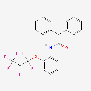 molecular formula C23H17F6NO2 B5224478 N-[2-(1,1,2,3,3,3-hexafluoropropoxy)phenyl]-2,2-diphenylacetamide CAS No. 5927-82-2