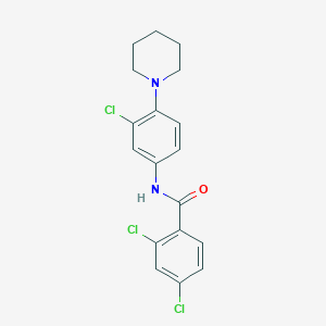 2,4-dichloro-N-[3-chloro-4-(1-piperidinyl)phenyl]benzamide