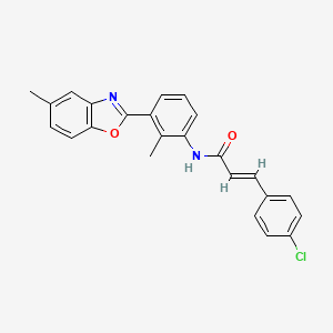 molecular formula C24H19ClN2O2 B5228511 3-(4-chlorophenyl)-N-[2-methyl-3-(5-methyl-1,3-benzoxazol-2-yl)phenyl]acrylamide 