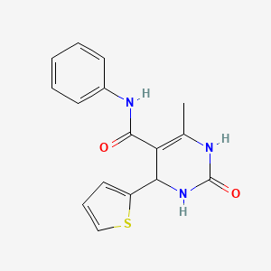 molecular formula C16H15N3O2S B5237741 6-methyl-2-oxo-N-phenyl-4-thiophen-2-yl-3,4-dihydro-1H-pyrimidine-5-carboxamide 