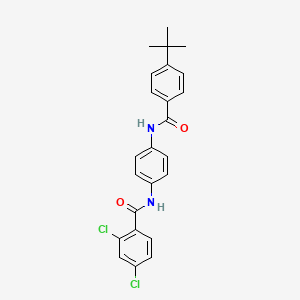 N-{4-[(4-tert-butylbenzoyl)amino]phenyl}-2,4-dichlorobenzamide