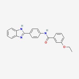 molecular formula C22H19N3O2 B5243603 N-[4-(1H-benzimidazol-2-yl)phenyl]-3-ethoxybenzamide 