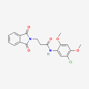 molecular formula C19H17ClN2O5 B5243708 N-(5-chloro-2,4-dimethoxyphenyl)-3-(1,3-dioxo-1,3-dihydro-2H-isoindol-2-yl)propanamide 