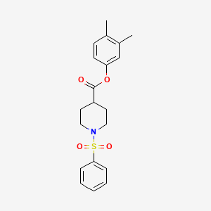 (3,4-Dimethylphenyl) 1-(benzenesulfonyl)piperidine-4-carboxylate