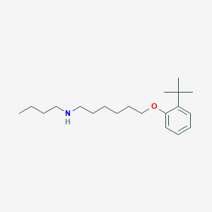 N-butyl-6-(2-tert-butylphenoxy)-1-hexanamine