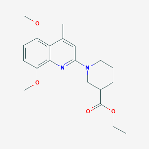 molecular formula C20H26N2O4 B5248252 ethyl 1-(5,8-dimethoxy-4-methyl-2-quinolinyl)-3-piperidinecarboxylate 