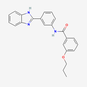 N-[3-(1H-benzimidazol-2-yl)phenyl]-3-propoxybenzamide