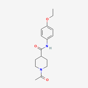 1-acetyl-N-(4-ethoxyphenyl)piperidine-4-carboxamide