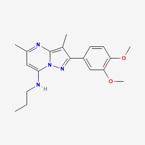 molecular formula C19H24N4O2 B5254625 2-(3,4-dimethoxyphenyl)-3,5-dimethyl-N-propylpyrazolo[1,5-a]pyrimidin-7-amine 