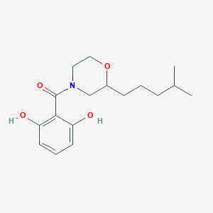 molecular formula C17H25NO4 B5256875 2-{[2-(4-methylpentyl)-4-morpholinyl]carbonyl}-1,3-benzenediol 