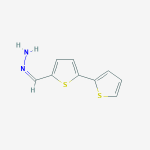 molecular formula C9H8N2S2 B5258905 2,2'-bithiophene-5-carbaldehyde hydrazone 