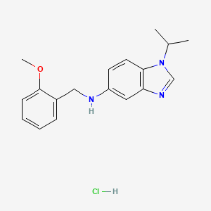 1-isopropyl-N-(2-methoxybenzyl)-1H-benzimidazol-5-amine hydrochloride