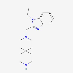 molecular formula C19H28N4 B5263638 3-[(1-ethyl-1H-benzimidazol-2-yl)methyl]-3,9-diazaspiro[5.5]undecane 