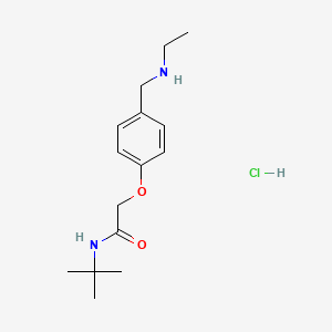 N-(tert-butyl)-2-{4-[(ethylamino)methyl]phenoxy}acetamide hydrochloride