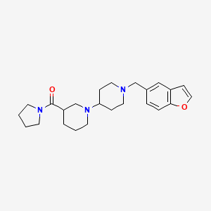 1'-(1-benzofuran-5-ylmethyl)-3-(pyrrolidin-1-ylcarbonyl)-1,4'-bipiperidine