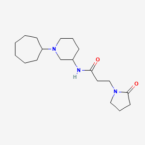 molecular formula C19H33N3O2 B5269941 N-(1-cycloheptylpiperidin-3-yl)-3-(2-oxopyrrolidin-1-yl)propanamide 