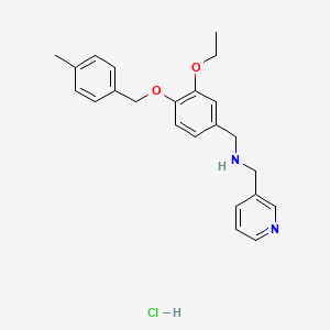 {3-ethoxy-4-[(4-methylbenzyl)oxy]benzyl}(3-pyridinylmethyl)amine hydrochloride