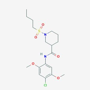 1-butylsulfonyl-N-(4-chloro-2,5-dimethoxyphenyl)piperidine-3-carboxamide