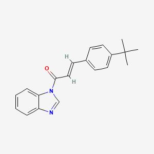 1-[3-(4-tert-butylphenyl)acryloyl]-1H-benzimidazole