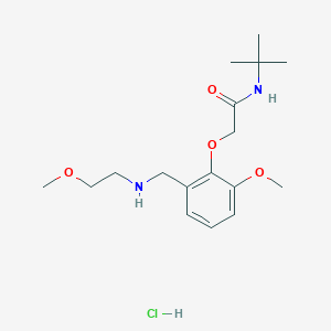 N-tert-butyl-2-[2-methoxy-6-[(2-methoxyethylamino)methyl]phenoxy]acetamide;hydrochloride